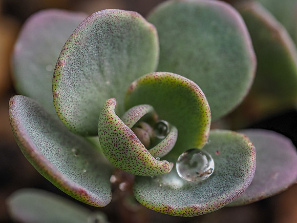 Droplets