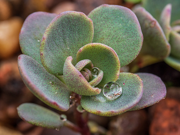 Droplets