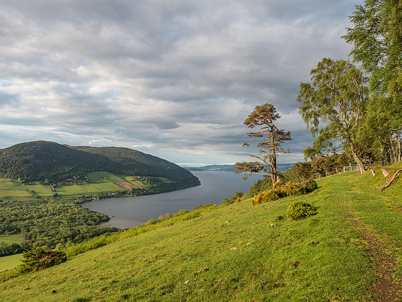 Loch Ness from Borlum Wood