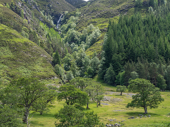 How Green Was My Valley