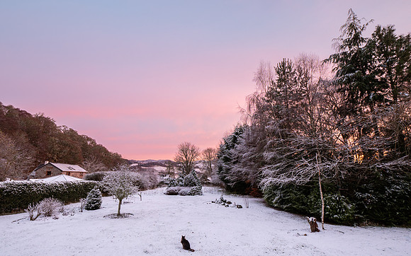 Garden Sunrise