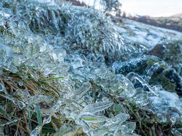 Grassy Ice