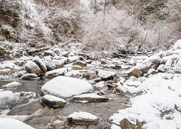 Cold River