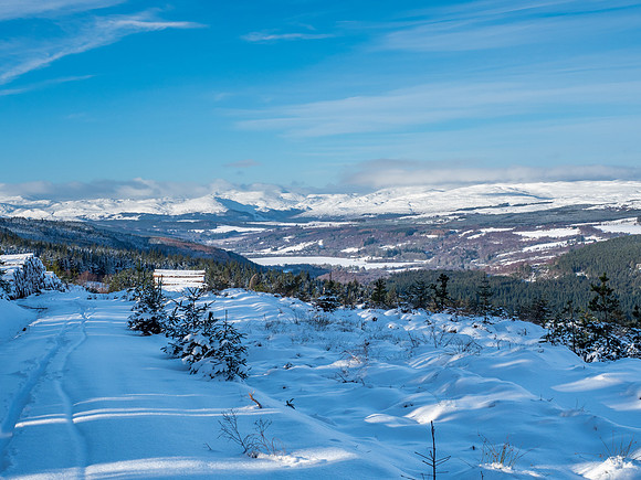 20210124-Cnoc a' Bhuacaille-EM522922