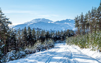 20210124-Cnoc a' Bhuacaille-EM522926