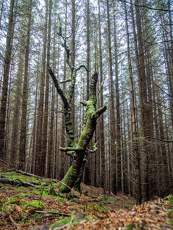 20210130-Dhivach to Clunebeg-EM522935