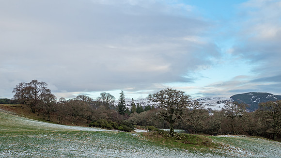 20210101-Balmacaan Farm-EM522817