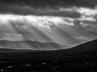 Rays of Light [2002005]