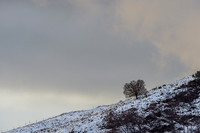 Glen Coiltie [2002003]