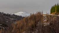 Glen Coiltie [2002002]