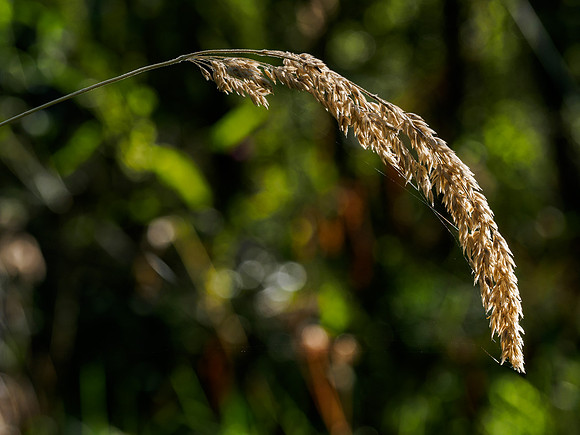Signs of Autumn 3