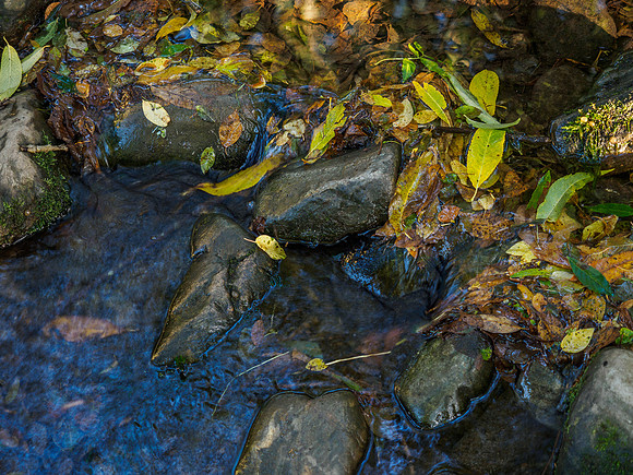Autumn River