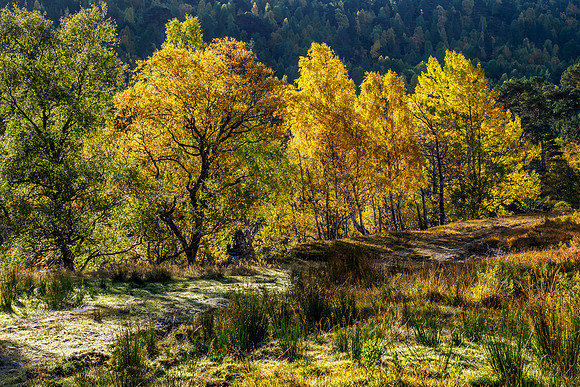 Autumn Light and Colour