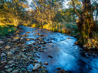 Glen Strathfarrar 8