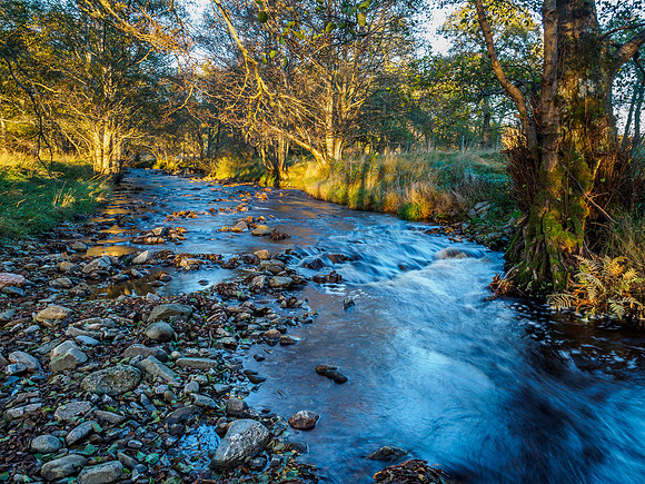 Glen Strathfarrar 8