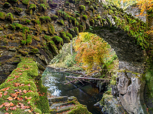 River Braan at the Hermitage