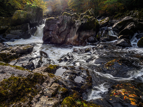 River Braan at the Hermitage