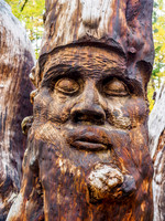 Wood Sculpture 2