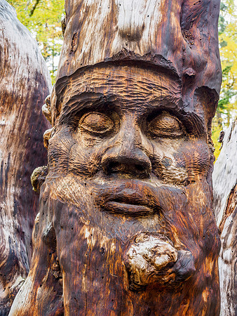 Wood Sculpture 2