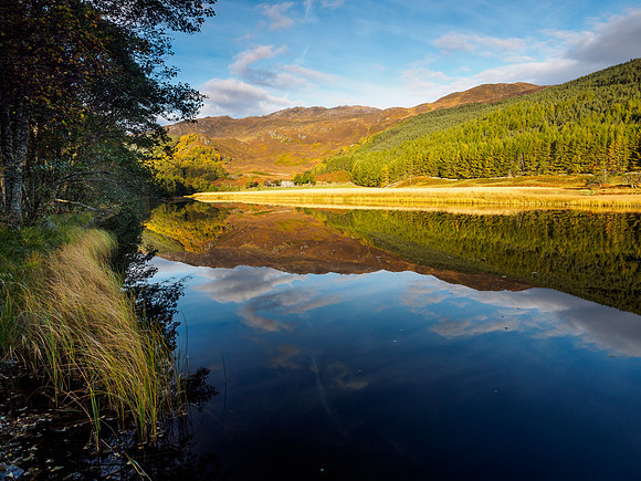 River Cannich Reflection