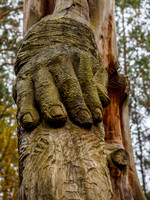 Wood Sculpture 1