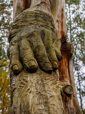 Wood Sculpture 1