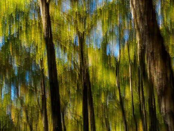 ICM