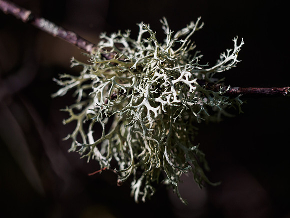 Signs of Autumn 5