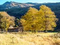 Glen Strathfarrar 5