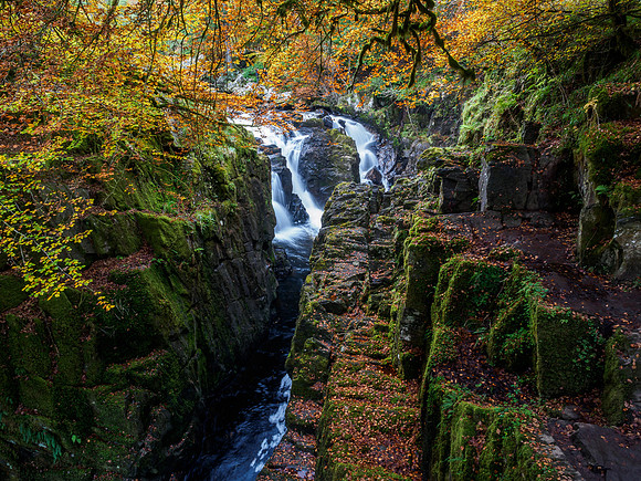 River Braan at the Hermitage