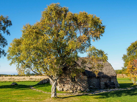 Culloden Battlefield 2