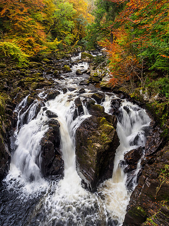 River Braan at the Hermitage