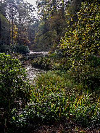 Loch Dunmore