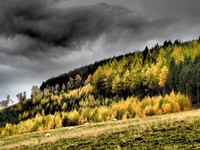 Cnoc a' Bhuachaille