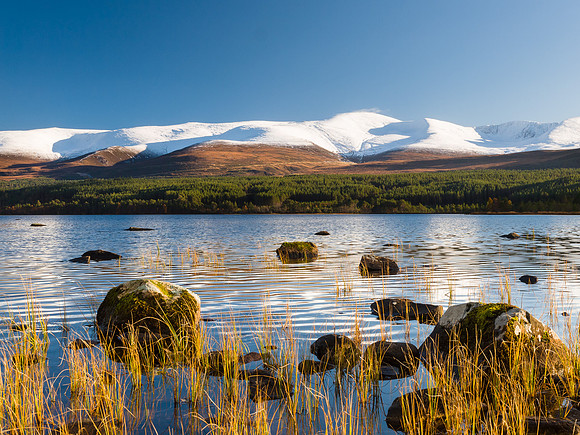Loch Morlich