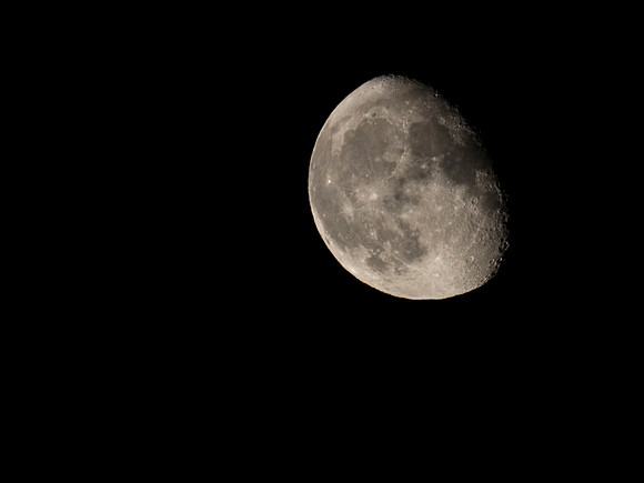 Moonshot