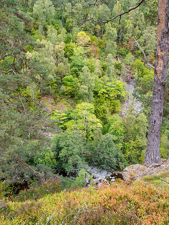 River Affric 4