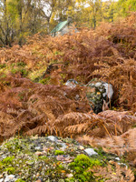 Gamekeeper's Cottage