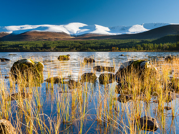 Loch Morlich