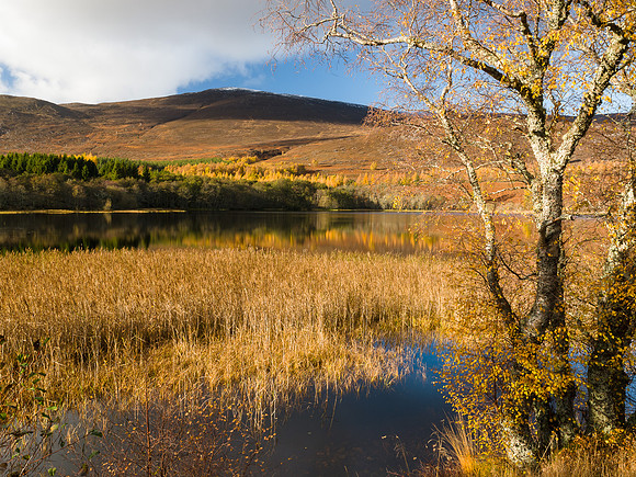 Loch Alvie