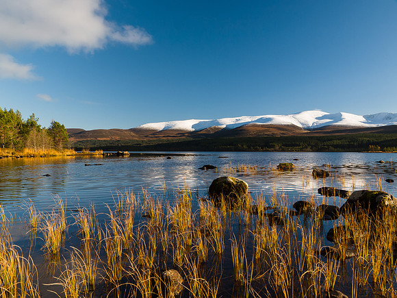Loch Morlich