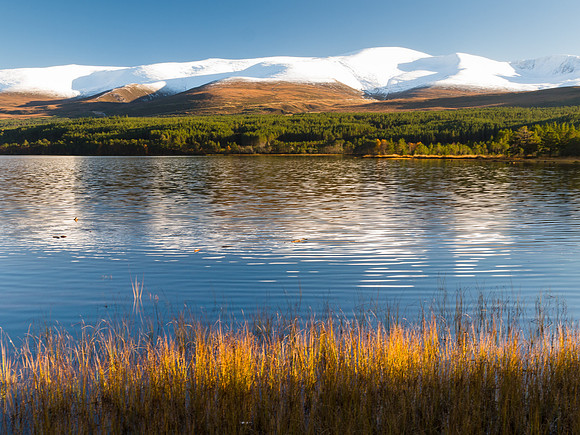 Loch Morlich