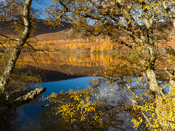 Loch Alvie