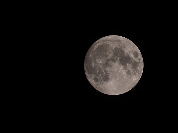 The Moon