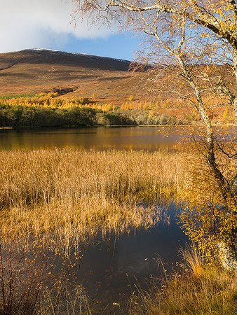 Loch Alvie