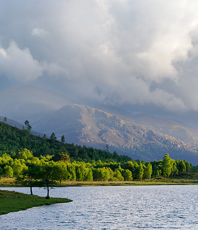 Light Up The Glen