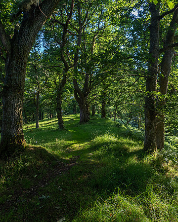 20200806-Balmacaan-EM522590