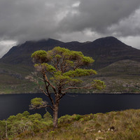 Beinn Eighe NNR
