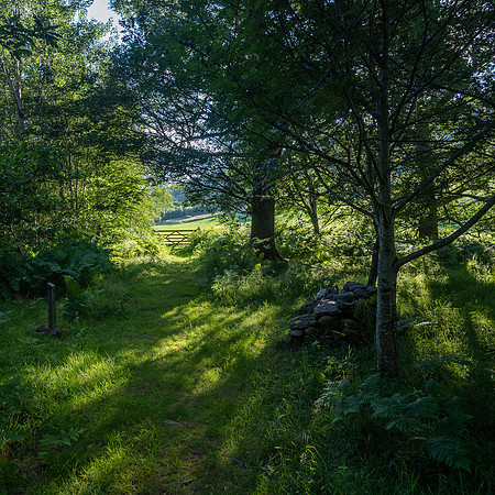 20200806-Balmacaan-EM522593