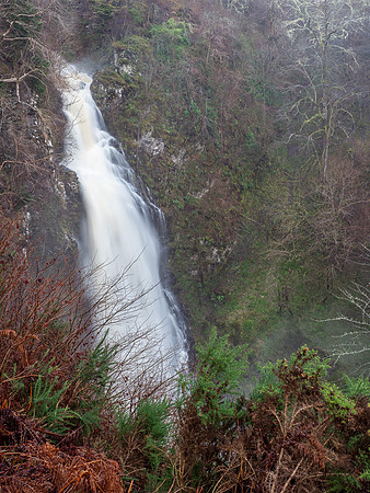 20201205-Dhivach-EM124745